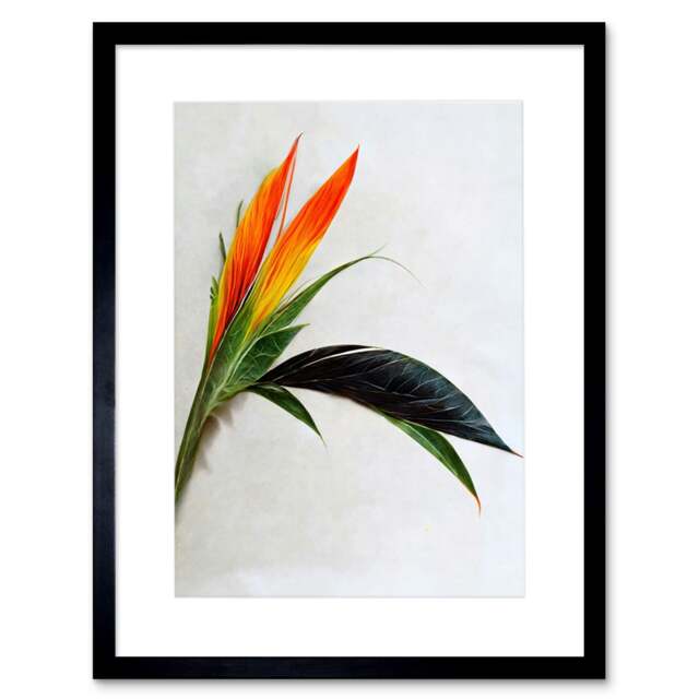 "Tropical Plant Bird of Paradise Flower Botanical Bloom 9x7"" Black Framed Wall Art Print"
