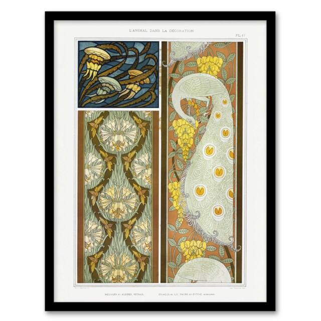 "Peacock Jellyfish Lily Nouveau Vintage Framed Wall Art Print Verneuil 12x16"""