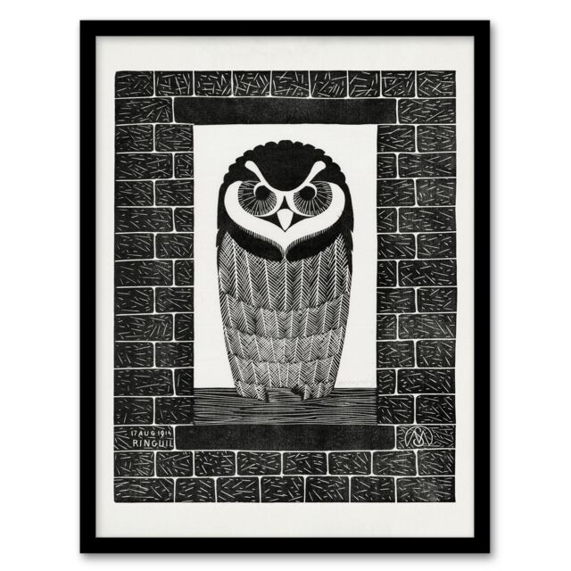 Samuel J De Mesquita Framed Wall Art Ringuil Owl Bird on a Window Home Décor