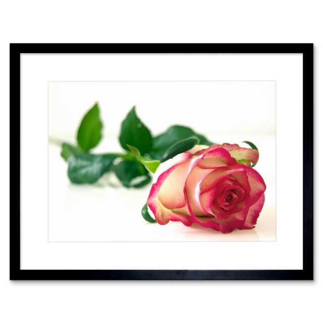 "Single Pink Rose Romantic Flower 9x7"" Black Framed Wall Art Print"