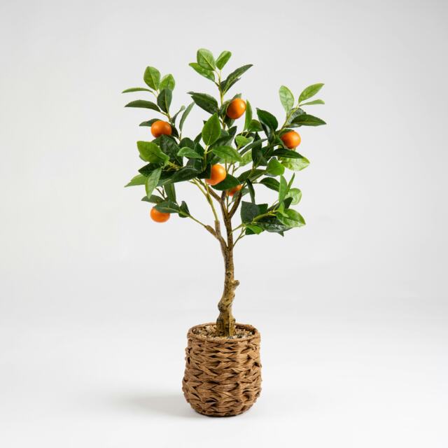 76Cm Orange Tree In Woven Basket Green One Size