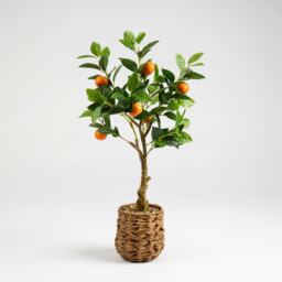 76Cm Orange Tree In Woven Basket Green One Size