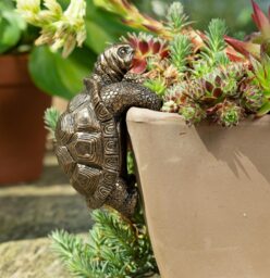 Tortoise Plant Pot Hanger - L11 x W6 x H7.5 cm Bronze