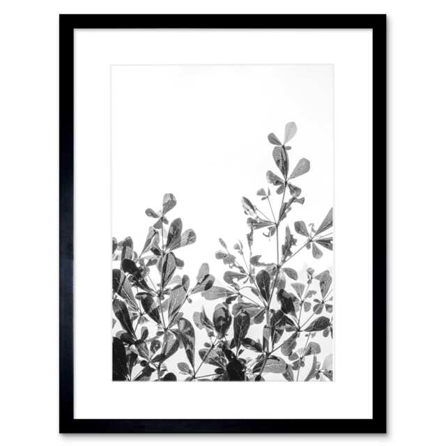 "Black White Bush Bright Photo Plant Lover 9x7"" Black Framed Wall Art Print"