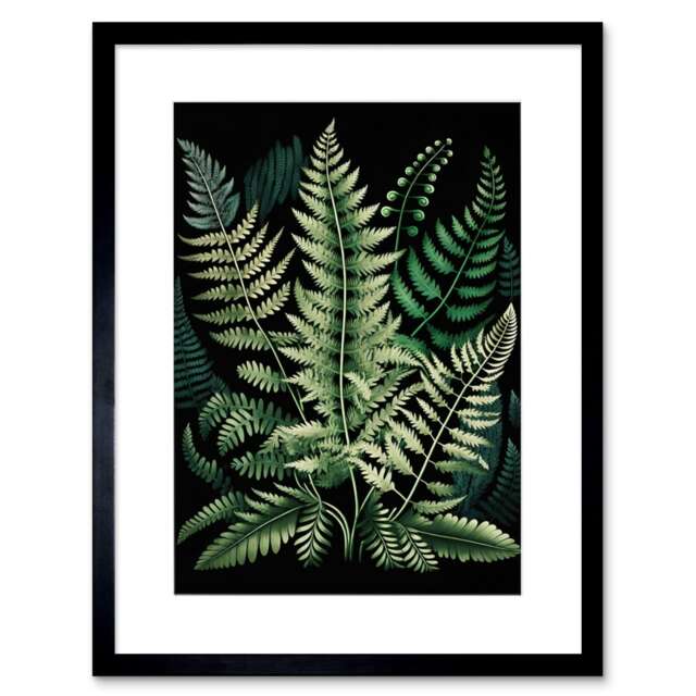 "Different Fern Fronds Detailed Leaves 9x7"" Black Framed Wall Art Print"