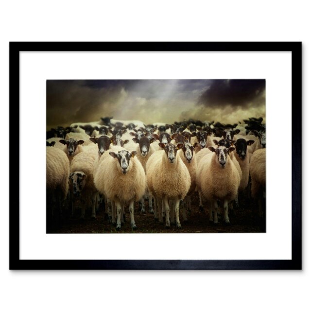 "Sheep Flock Farm Animal Photo Wood Frame 12x16"" Framed Wall Art Print"