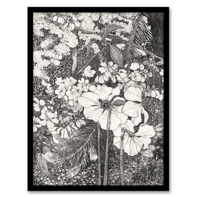 Theo van Hoytema Framed Wall Art Print Spring Flowers Black and White Home Décor