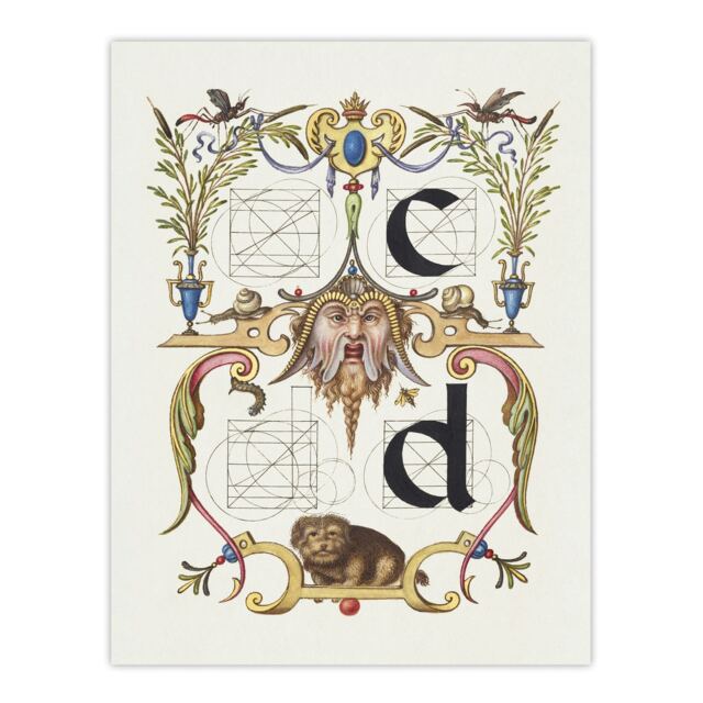 "Pictoral Letter Guide C And D Calligraphy Huge Wall Art Poster Print 24X32"""