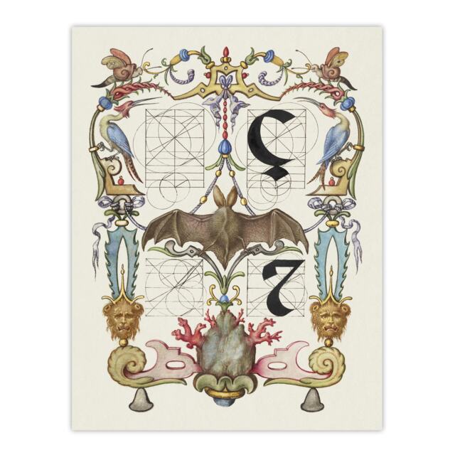 "Pictoral Letter Guide with Bat Calligraphy Huge Wall Art Poster Print 24X32"""