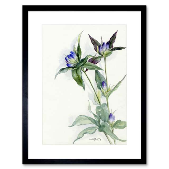 "Purple Blue Wildflowers Floral Watercolour 9x7"" Black Framed Wall Art Print"