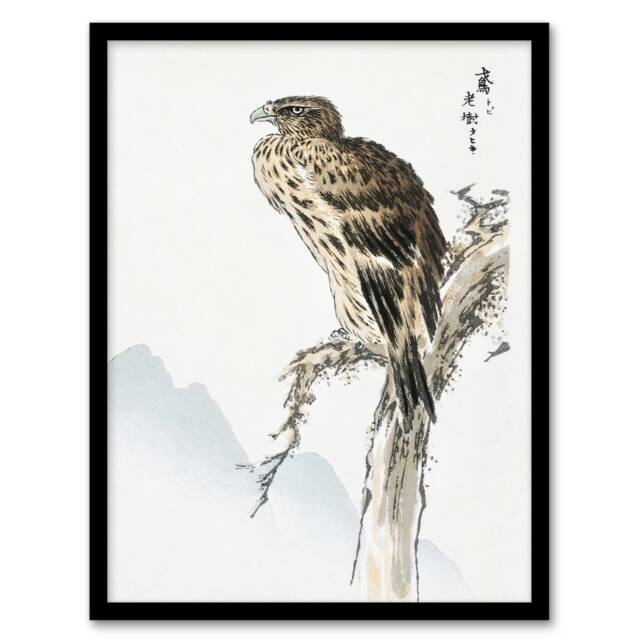 "Black Eared Kite Bird Japanese Japan Framed Wall Art Print Numata Kashu 12x16"""