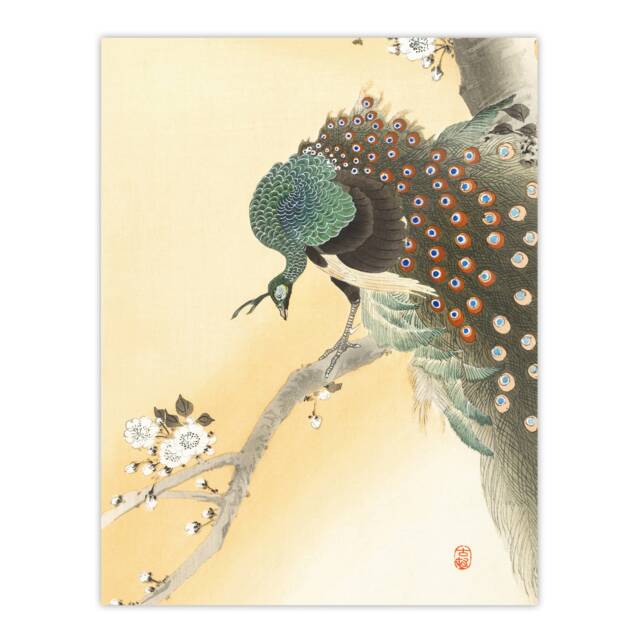 "Peacock On A Cherry Blossom Tree Retro Japan Wall Art Print Koson 24x32"""