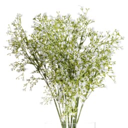 Hill Interiors Wildflower Spray Artificial Flower - White/Green - One Size