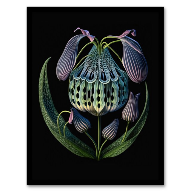 Ernst Haeckel Style Botanical Orange Purple Black Framed Wall Art Print A4