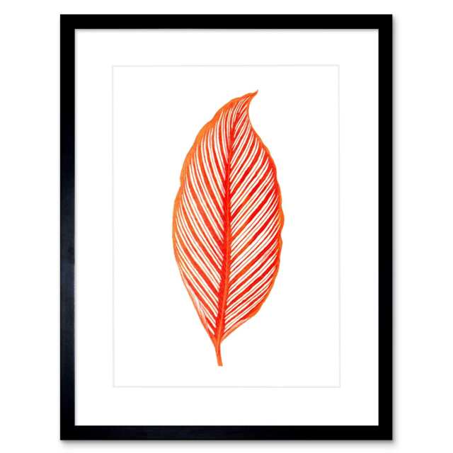 "Pink Calathea Prayer Plant Leaf Botanical Plant Lover 9x7"" Black Framed Wall Art Print"