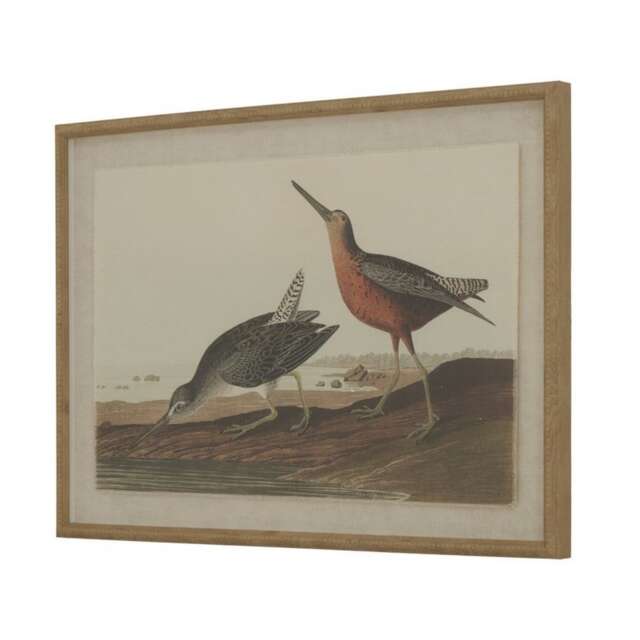 Flora & Fauna Collection Snipes on Linen in Beaded Frame - Glass - L2 x W62 x H45 cm - Brown