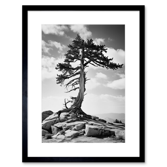 "Weathered Jeffrey Pine Standing a Rocky Hill 9x7"" Black Framed Wall Art Print"