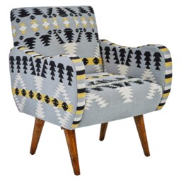 Cefena Multicolour Fabric Chair Multi