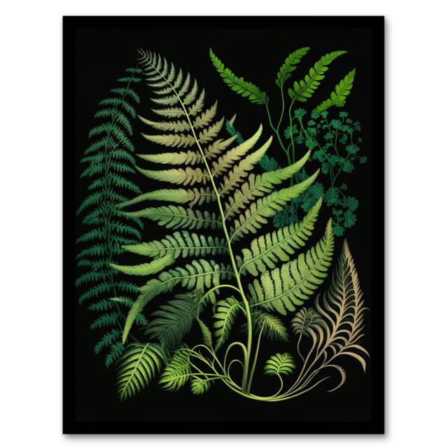 Elegant Fern Fronds Botanical Nature Foliage Black Framed Wall Art Print A4