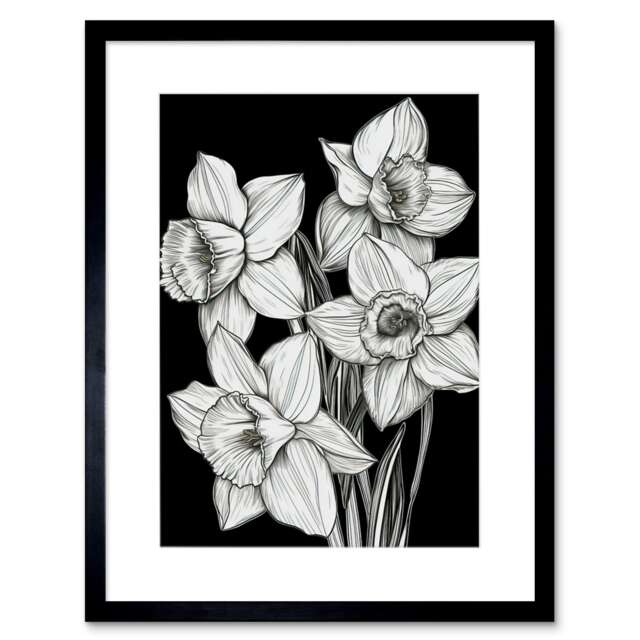 "Detailed Black White Daffodil Flower Blooms 9x7"" Black Framed Wall Art Print"