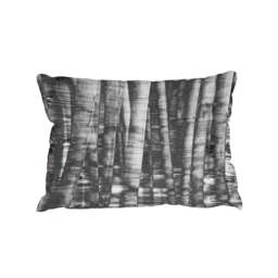 Black and white bamboo (Outdoor Cushion)