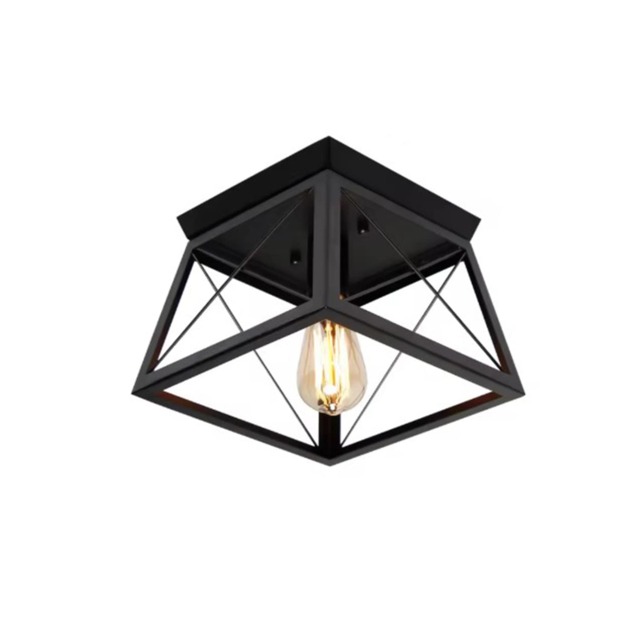 Ceiling Light Flush Mount Fixture Black