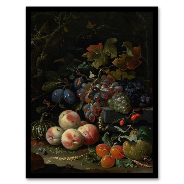 "Still Life With Fruit Foliage and Insects Mignon Framed Wall Art Print 12X16"""