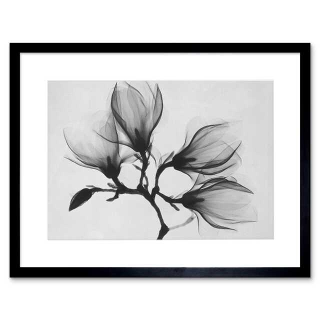 "Magnolia Branch Xray Black White Photo 9x7"" Black Framed Wall Art Print"