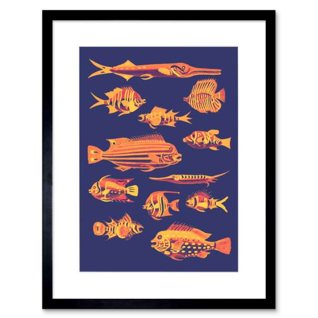"School Of Fish Vivid Orange Blue Sea Life Bathroom 9x7"" Black Framed Wall Art Print"