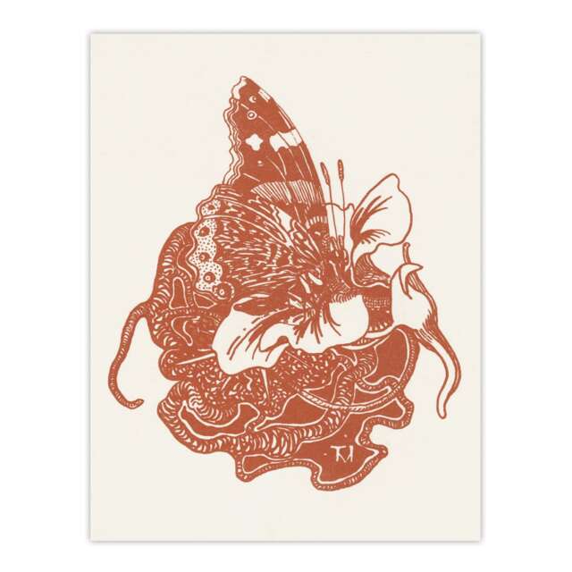"Butterfly on Nasturtium Flower Vintage Wall Art Print van Hoytema 12x16"""