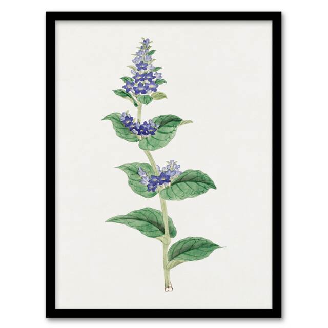 Vintage Japanese Botanical Framed Wall Art Print Gentian Flower Home Décor