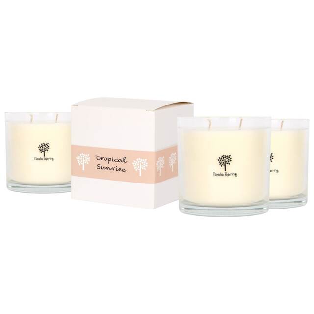 Nicola Spring 400g Soy Wax Scented Candle - 45 Hour Burn Time Relaxation Aromatherapy Gift Ready Jar Candle Clear Tropical Sunrise 3