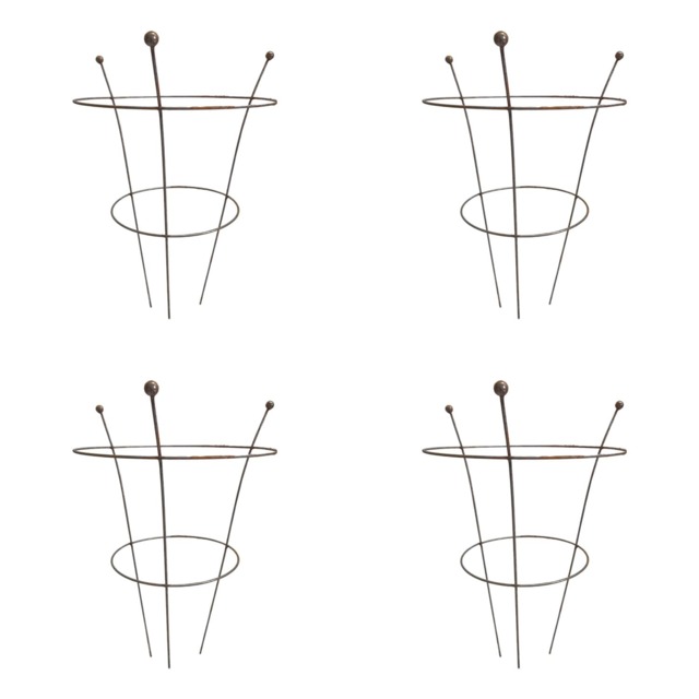 Pack of 4 Tom Chambers Herbaceous Bare Rusted Steel Garden Plant Support Medium 54cm x 40cm