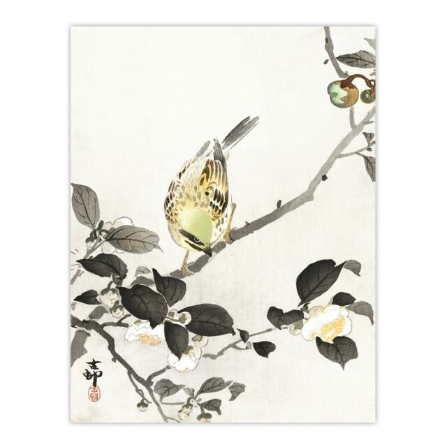 "Bunting On Blossom Branch Vintage Japan Wall Art Print Koson 18x24"""