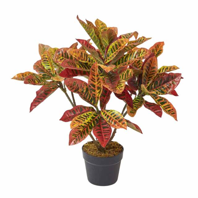 Homescapes Red 'Rushfoil' Artificial Croton Plant with Pot, 65 cm