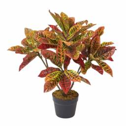 Homescapes Red 'Rushfoil' Artificial Croton Plant with Pot, 65 cm