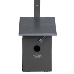 Fallen Fruits Great Tit Bird House Grey Grey