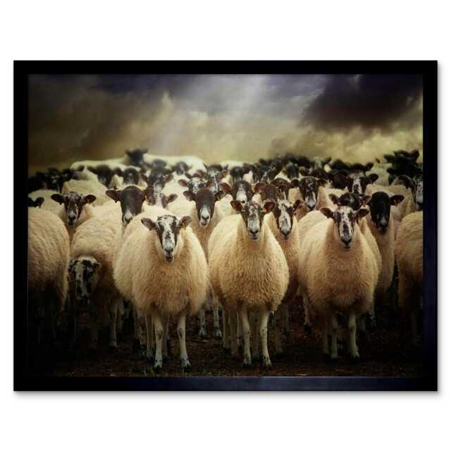 "Sheep Flock Farm Wool Home Decor 12x16"" Framed Wall Art Print"