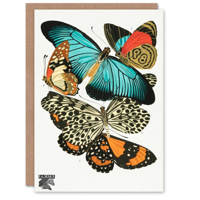 Eugene Seguy Art Card Vintage Butterflies Blue and Orange