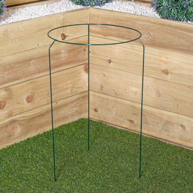 Tom Chambers Urban Metal Herbaceous Garden Plant Support Ring Large 40cm x 60cm