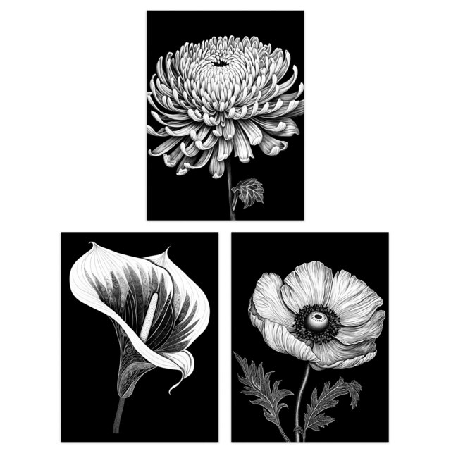 Set of 3 Poppy Chrysanthemum Calla Lily Floral Artwork Black White Wall Art Print A4