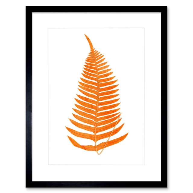 "Pink Orange Fern Leaf Frond Botanical Plant Lover 9x7"" Black Framed Wall Art Print"