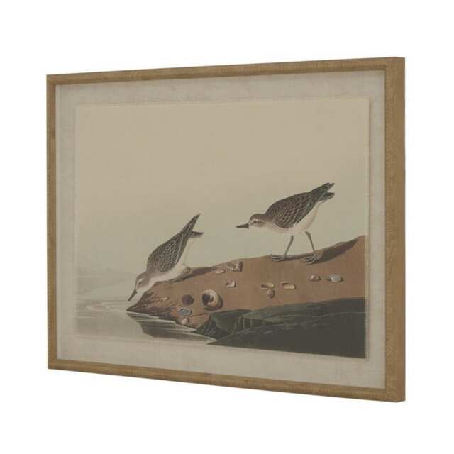 Flora & Fauna Collection Stints on Linen in Beaded Frame - Glass - L2 x W62 x H45 cm - Brown