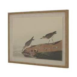 Flora & Fauna Collection Stints on Linen in Beaded Frame - Glass - L2 x W62 x H45 cm - Brown