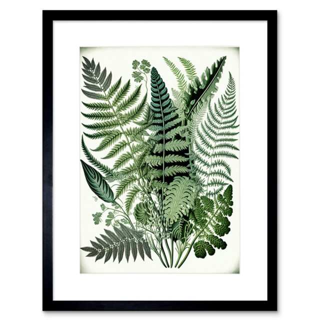 "Haeckel Style Fern Fronds Watercolour 9x7"" Black Framed Wall Art Print"