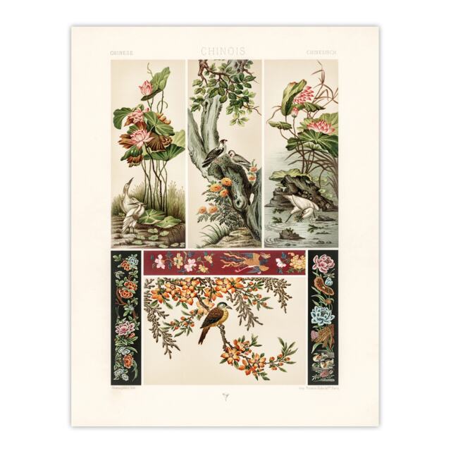 "Chinese Patterns of Birds and Flowers Racinet Wall Art Poster Print 12X16"""