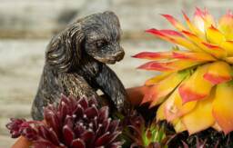 Antique Bronze Coloured Cavalier King Charles Spaniel Pot Buddy Plant Pot Hanger Bronze