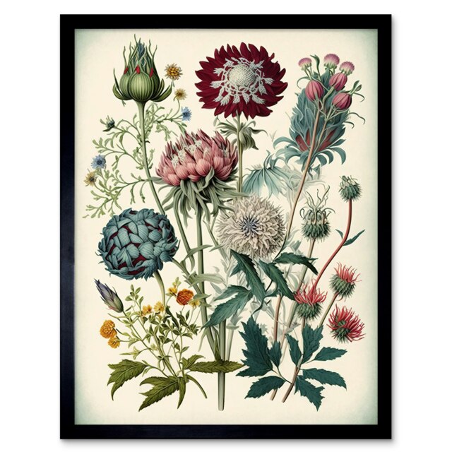 Ernst Haeckel Style Botanical Plant Watercolour Framed Wall Art Print