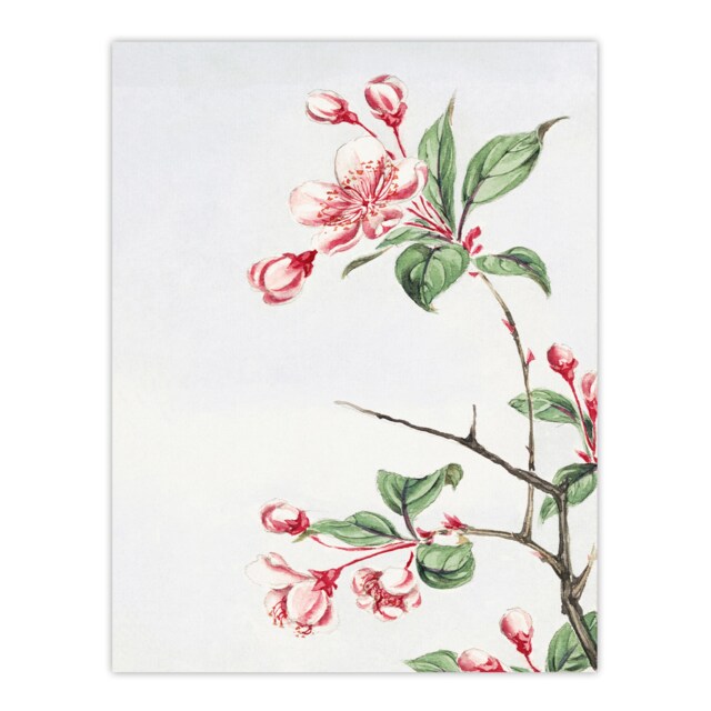 "Kaido Crabapple Flower Bloom Retro Japan Wall Art Print Morikaga 18x24"""