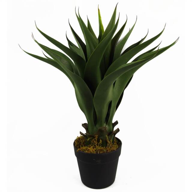 Artificial Yukka Tropical House Plant Plastic Pot 55cm Faux House Plants Botanik Green One Size